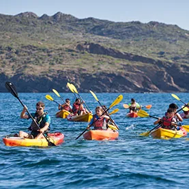 Cap de Creus + Tudela Full Day